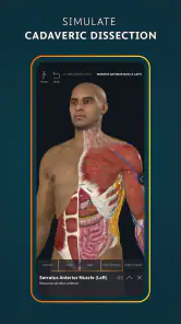 Complete Anatomy screenshot 2