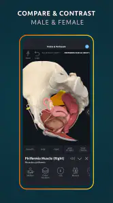 Complete Anatomy screenshot 5