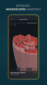 Complete Anatomy screenshot 8