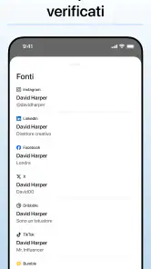 Deepsearch AI Search Assistant screenshot 3