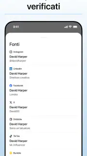 Deepsearch AI Search Assistant screenshot 3