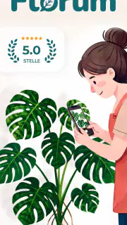 Florum: Identificatore piante screenshot 1