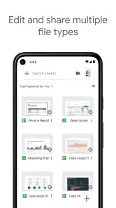 Fogli Google screenshot 4