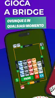 Fun Bridge screenshot 1