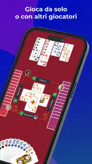 Fun Bridge screenshot 2