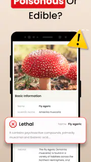 Funghi Riconoscimento Italiano screenshot 2