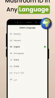 Funghi Riconoscimento Italiano screenshot 5