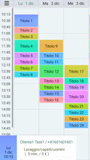Gestione visite clienti Lt. screenshot 4