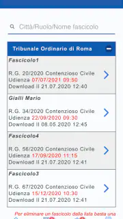 Giustizia Civile screenshot 6
