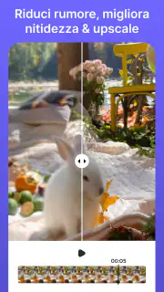 Gomma Video: Oggetti Filigrane screenshot 4