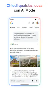 Google screenshot 2