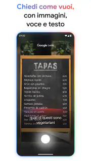 Google screenshot 3