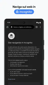 Google Chrome screenshot 6