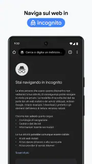 Google Chrome screenshot 6