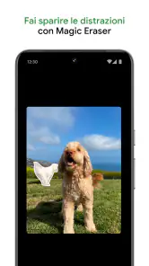 Google Foto screenshot 2