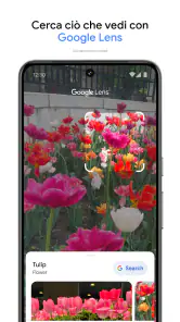 Google Foto screenshot 6