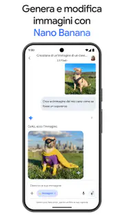 Google Gemini screenshot 1