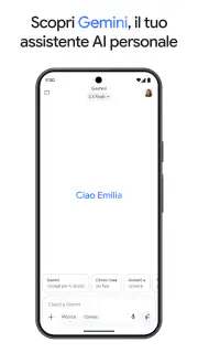 Google Gemini screenshot 2