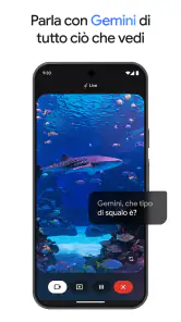 Google Gemini screenshot 3