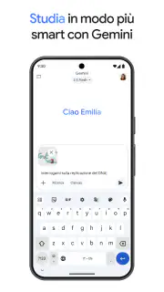 Google Gemini screenshot 4