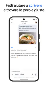 Google Gemini screenshot 5