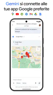 Google Gemini screenshot 6