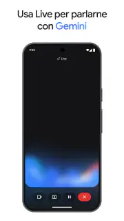 Google Gemini screenshot 7