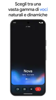 Google Gemini screenshot 8