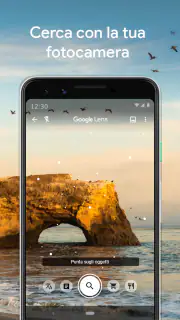 Google Lens screenshot 1