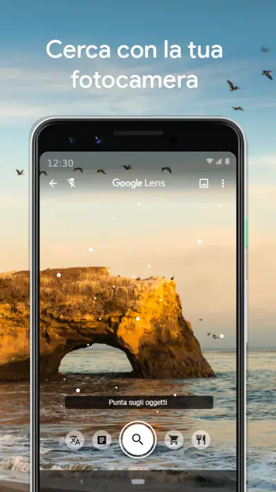 Google Lens screenshot 1