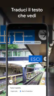 Google Lens screenshot 2