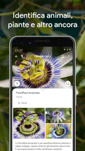 Google Lens screenshot 3