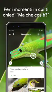 Google Lens screenshot 7