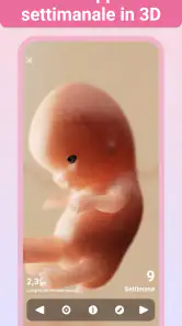 Gravidanza +| Maternità App screenshot 5