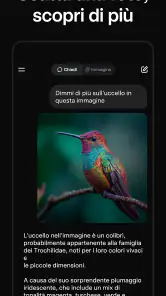Grok - Assistente IA screenshot 3
