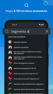 IMAIOS e-Anatomy screenshot 3