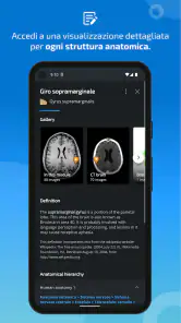 IMAIOS e-Anatomy screenshot 5