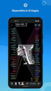 IMAIOS e-Anatomy screenshot 7