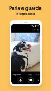 IP Camera - Videosorveglianza screenshot 4