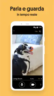 IP Camera - Videosorveglianza screenshot 4