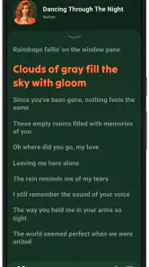 Lark Player: Lettore musicale screenshot 4