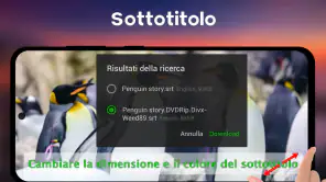 Lettore Video Tutti Formati screenshot 8