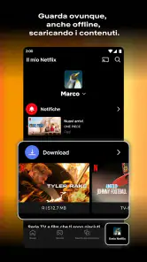 Netflix screenshot 2