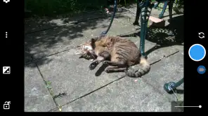 Open Camera screenshot 3
