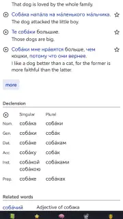 OpenRussian Russian Dictionary screenshot 3