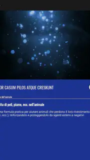 Parole Magiche screenshot 5