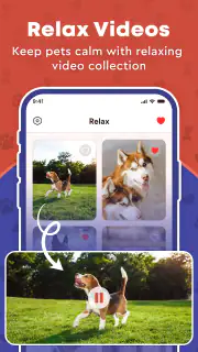 Pet Ai - Dog & Cat Translator screenshot 6