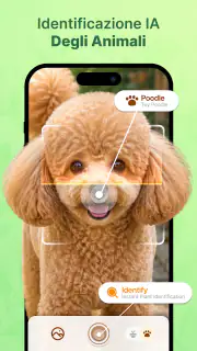 Piante AI: Scan e Cura screenshot 6