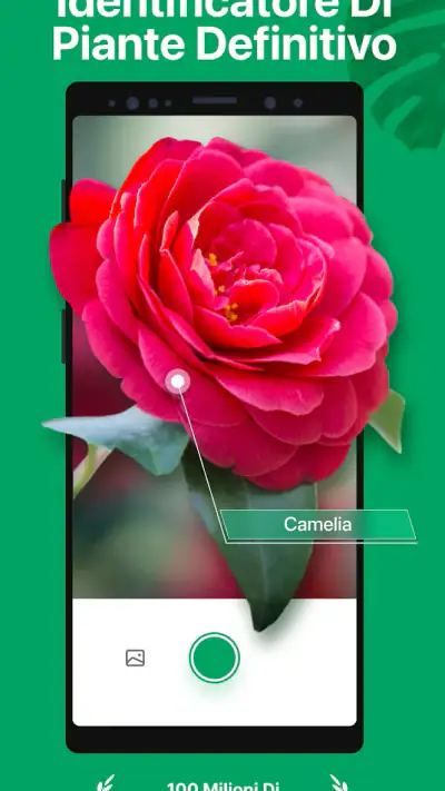 PictureThis Identificar Planta screenshot 1