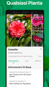 PictureThis Identificar Planta screenshot 2